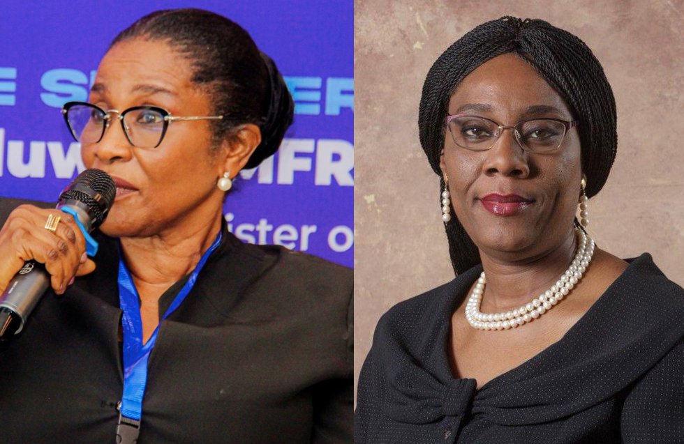 Dr. Olugbemisola Odusote Biography